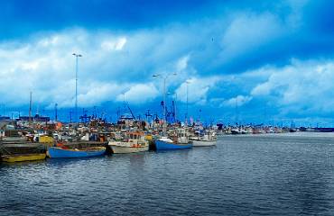 Fiskebåtar Fiskehamn - Danmark
