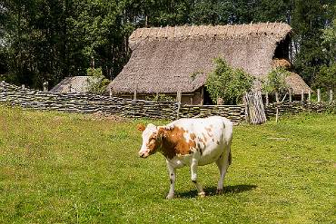 Hus Ekehagens Forntidsby - Åsarp