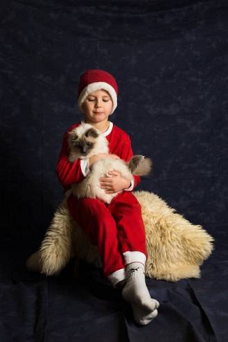 Julfoto Skövde