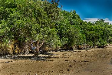 Studier vid havet Tanzania
