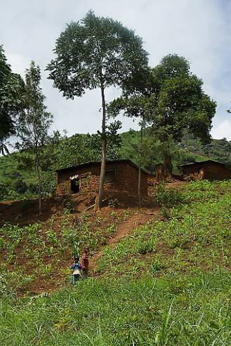 Barnens hem? Tanzania