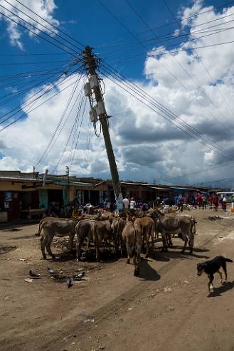 Utfodring Tanzania