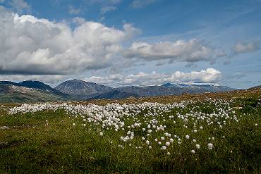 Fjällvy Norska fjällen