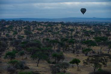 Skymning Tarangire NP - Tanzania