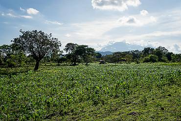 Odlingsmark/Mount Meru 