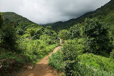 Bergsvandring Tanzania