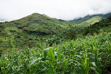 Bergsvandring Tanzania