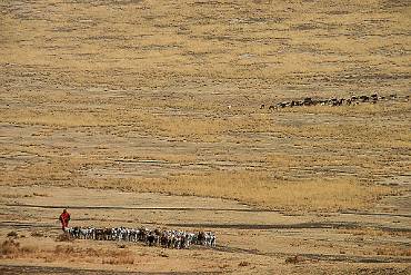 Massajland Tanzania